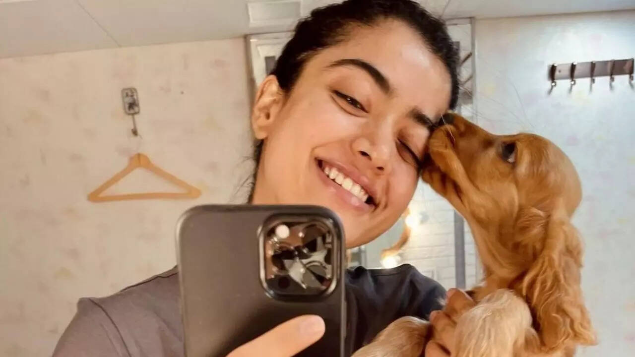 Rashmika Mandanna pet dog