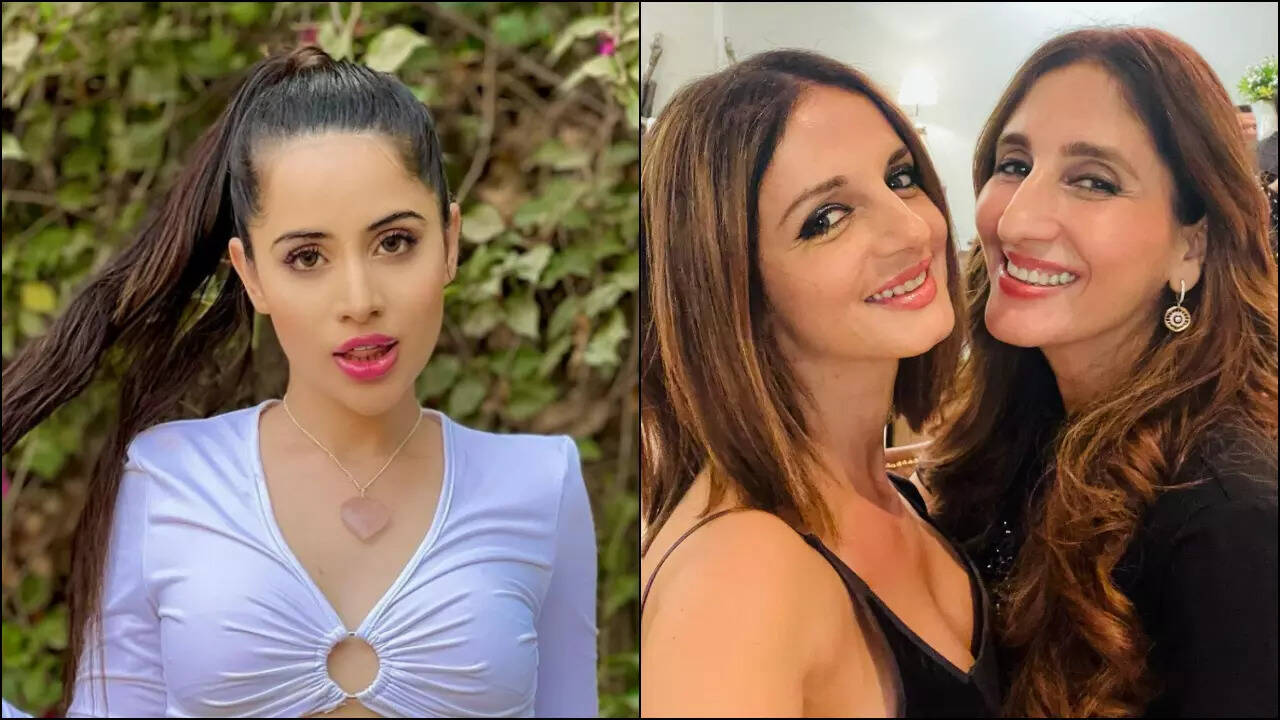 Urfi Javed reacts to Farah Khan Ali's comment