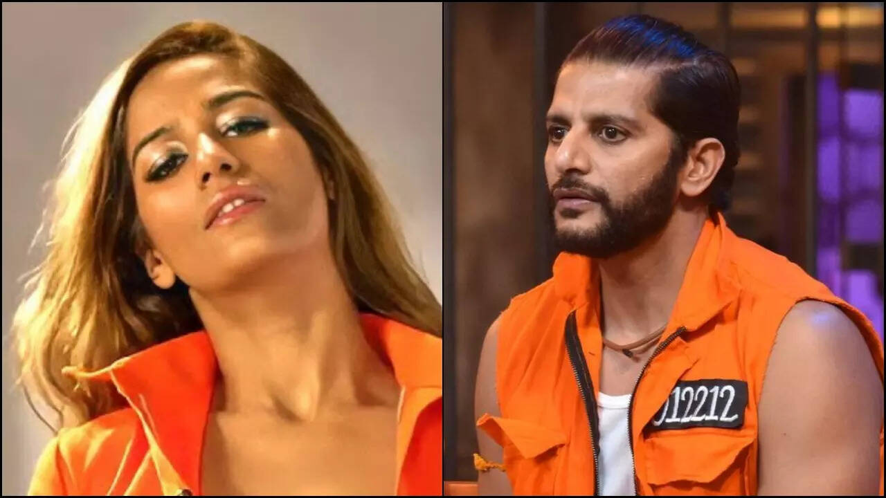 Poonam Pandey apologises to Karanvir Bohra