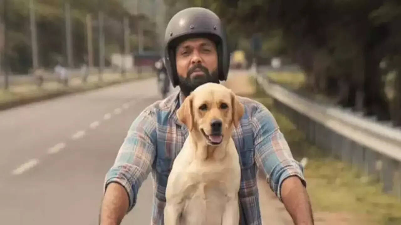 After Yash-starrer KGF 2, Kannada film industry pins hopes on pan-India success of Rakshit Shetty's