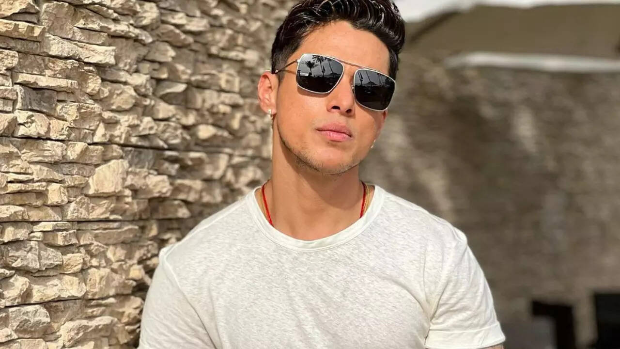 Pratik Sehajpal's cryptic post leaves fans worried