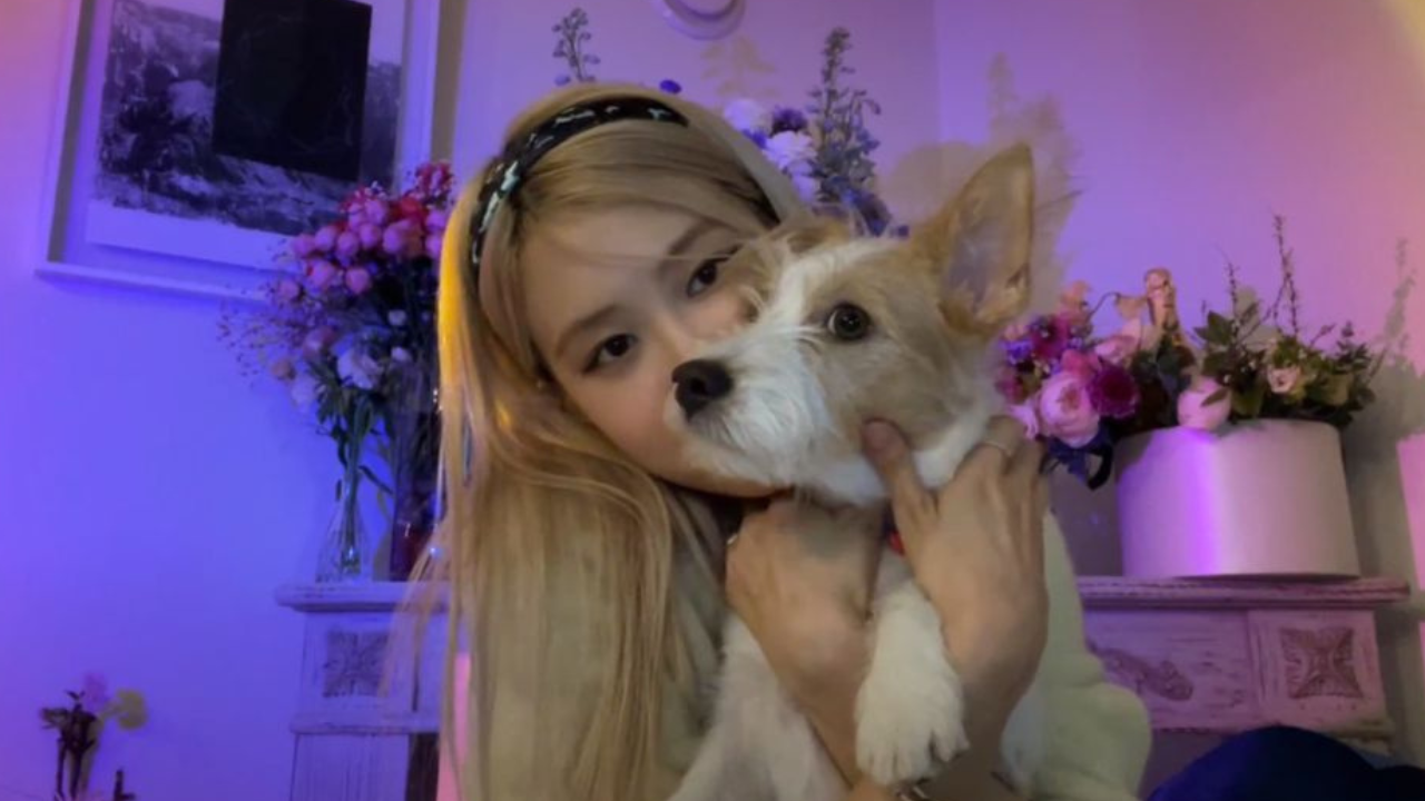 Blackpink's Rosé with Hank