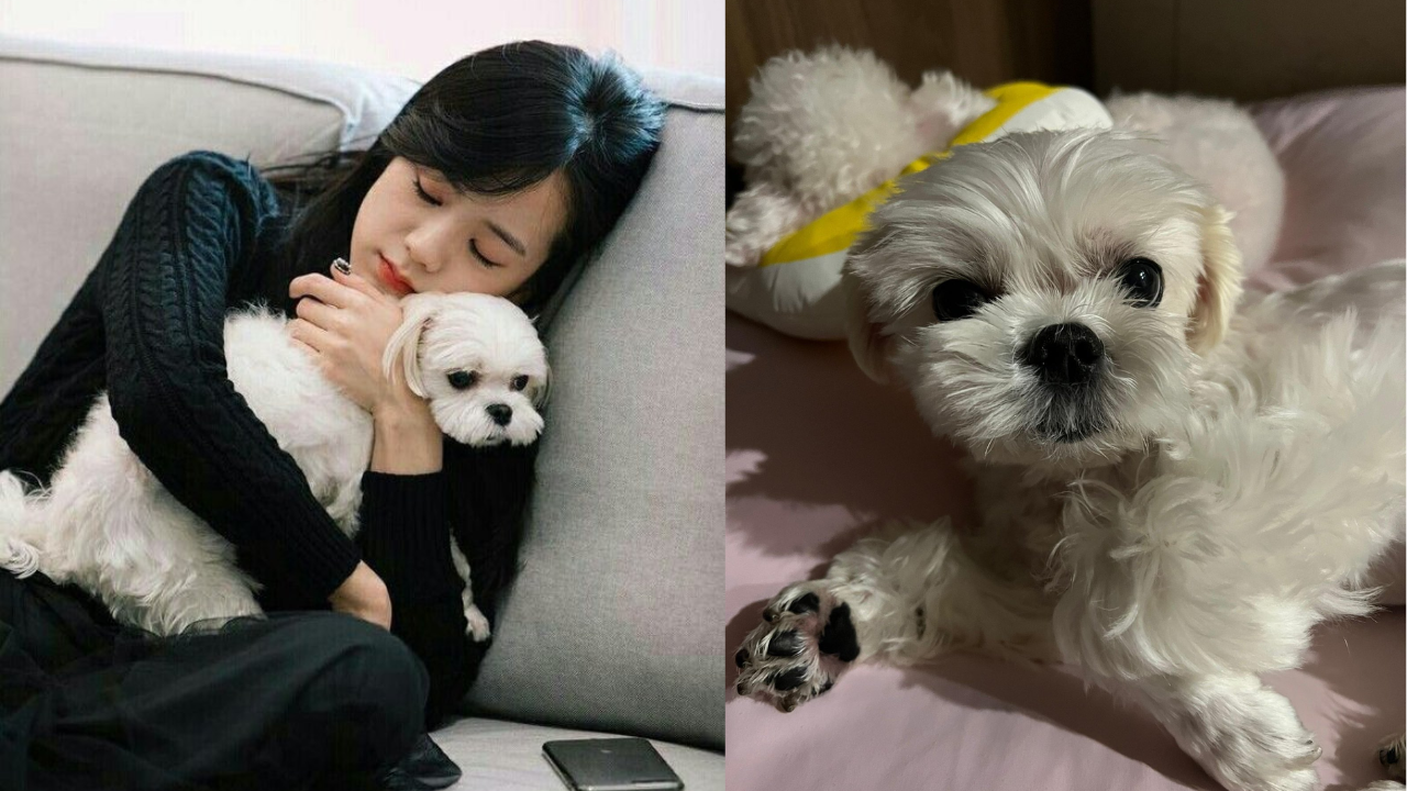 Jisoo with her pet