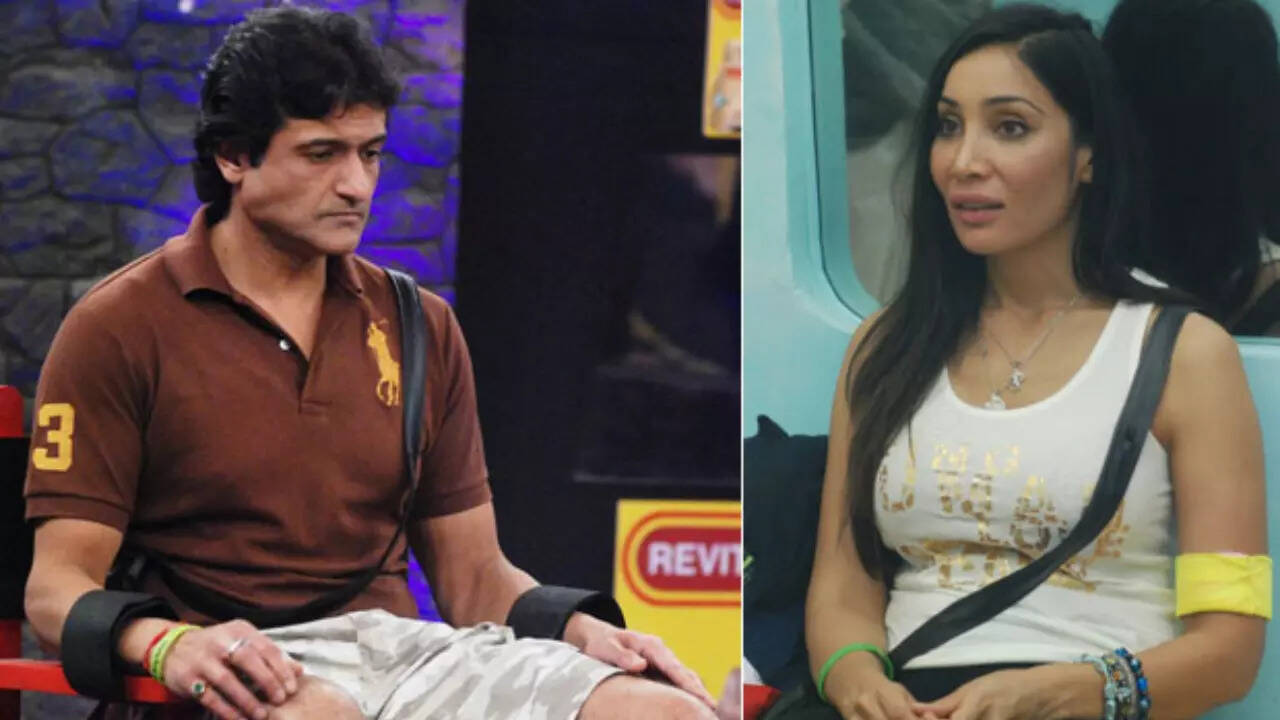 Bigg Boss 7's Armaan Kohli assaulting Sofia Hayat case to re-open