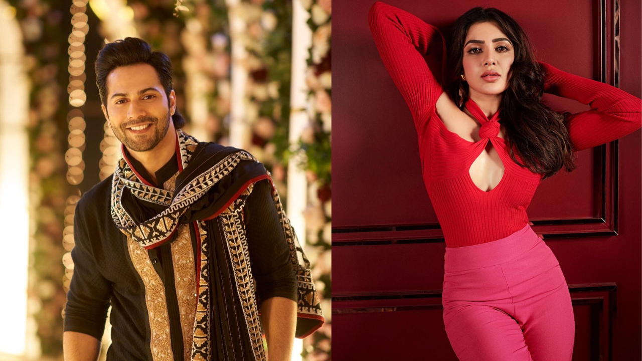 Varun Dhawan, Samantha Ruth Prabhu starrer Citadel to rope in Hollywood action director