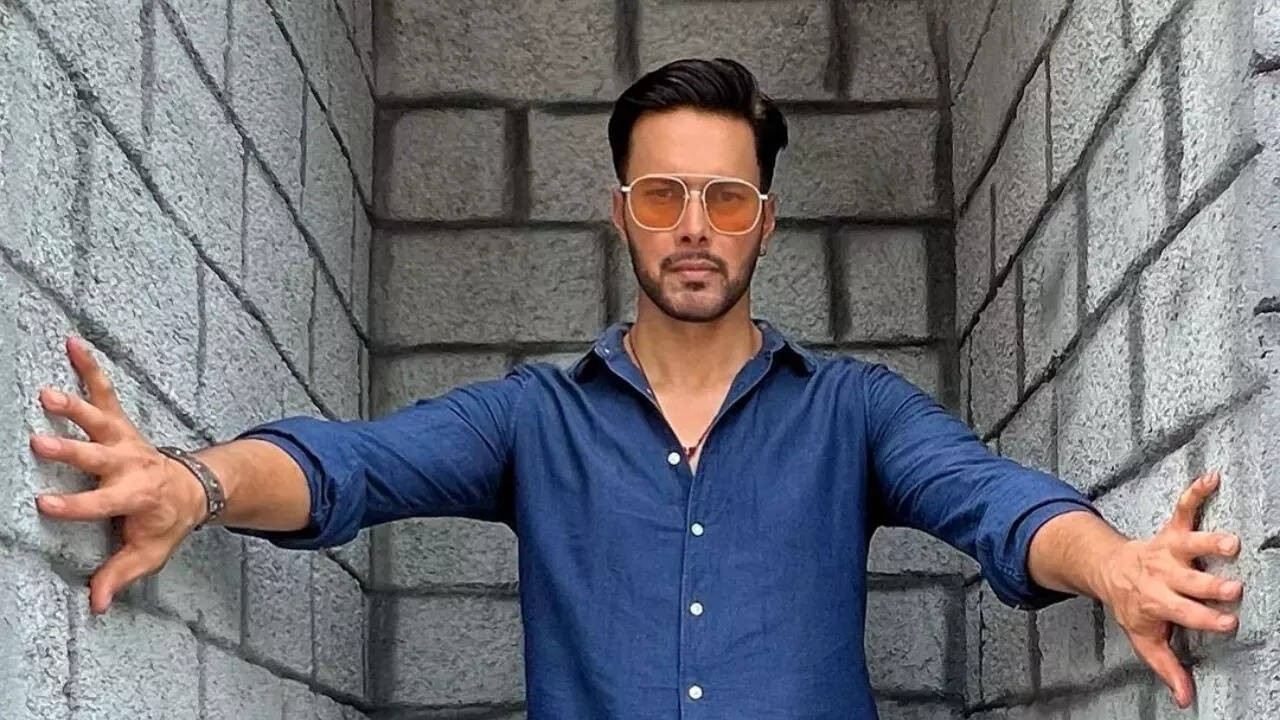 Khatron Ke Khiladi 5 winner Rajniesh Duggall returns to TV after two years with new daily soap - details inside