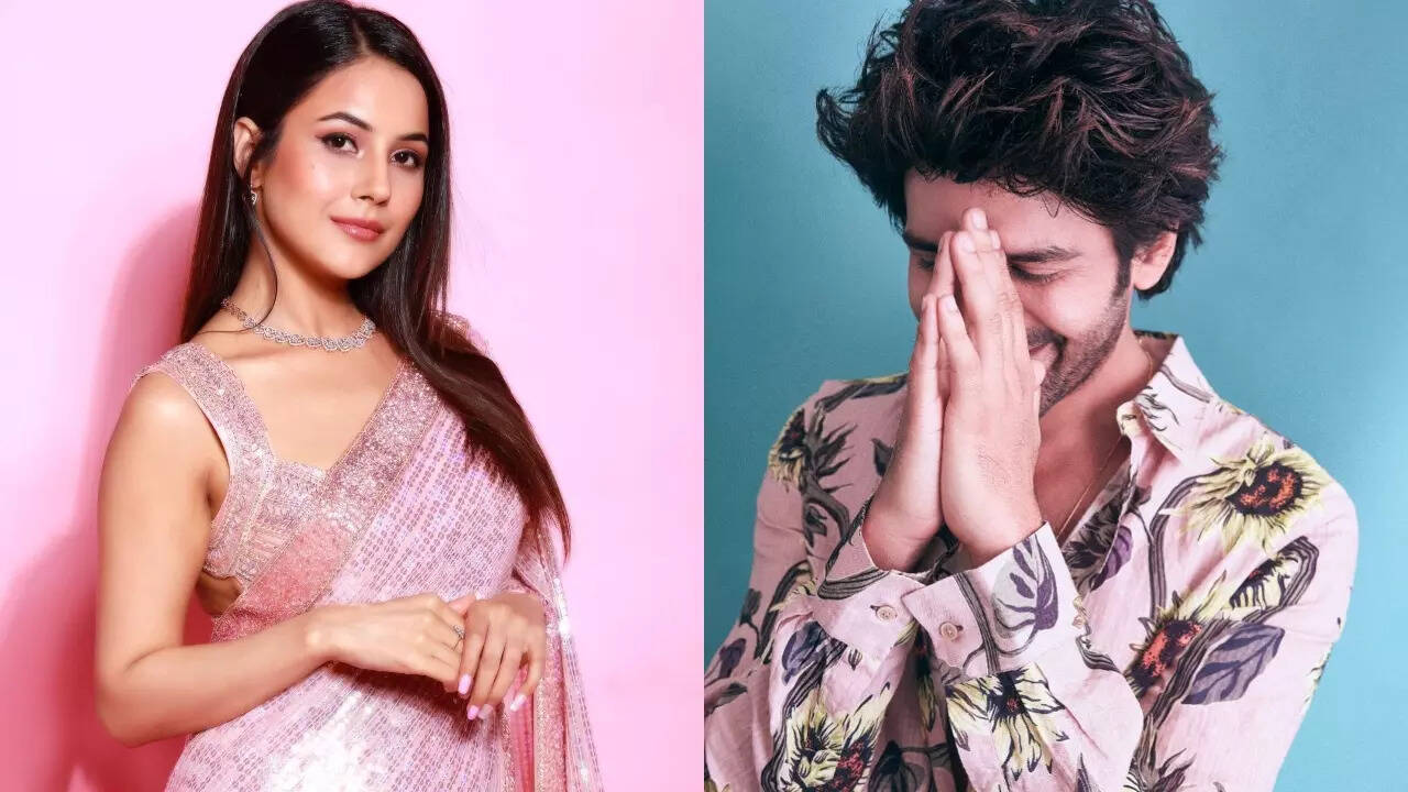 Shehnaaz Gill has the sweetest message for her 'puraana' crush Kartik Aaryan: 'Aap bahot achcha kar rahe ho...'