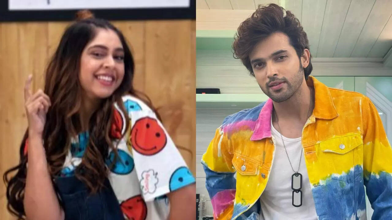 Jhalak Dikhhla Jaa 10: Parth cheers for Niti Taylor