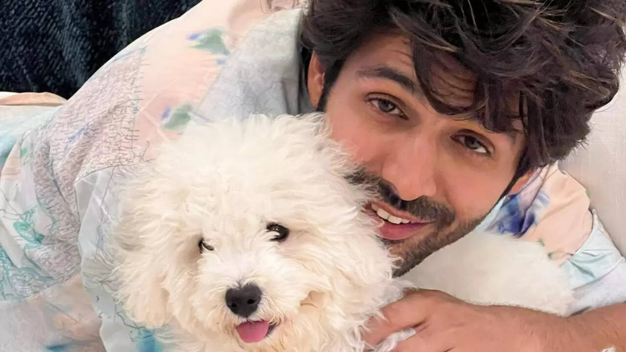 Kartik Aaryan with Katori