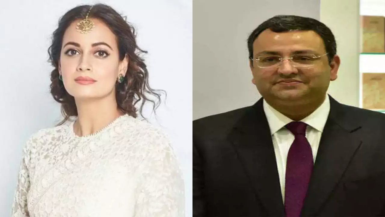 Dia Mirza, Cyrus Mistry