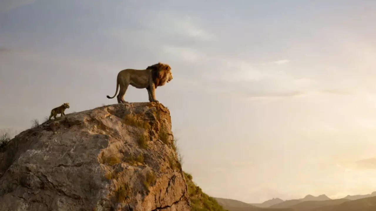 Barry Jenkins announces official title for Lion King prequel