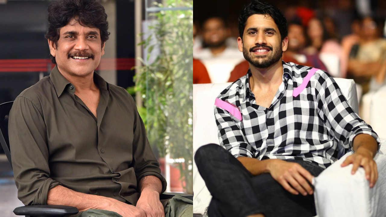 Nagarjuna, Naga Chaitanya