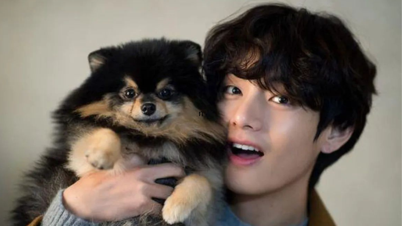 BTS' V drops adorable video with Yeontan