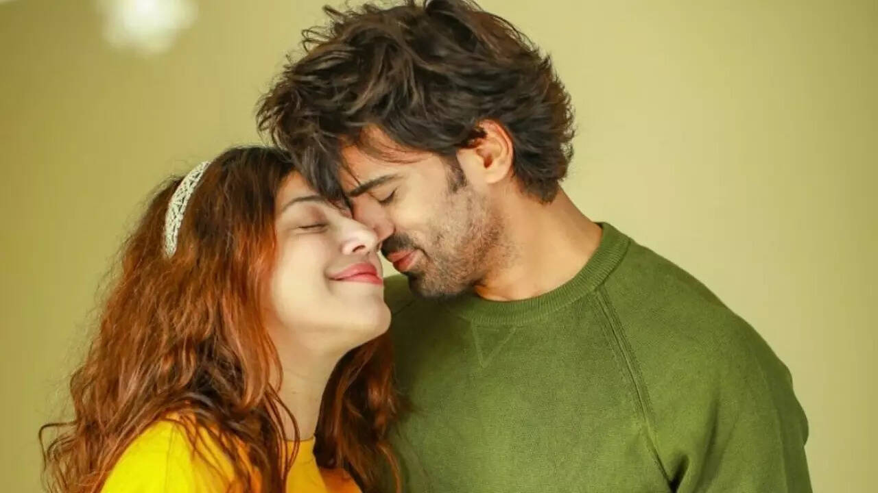 Mohit Malik and Addite Shirwaikar Malik expecting their second baby?