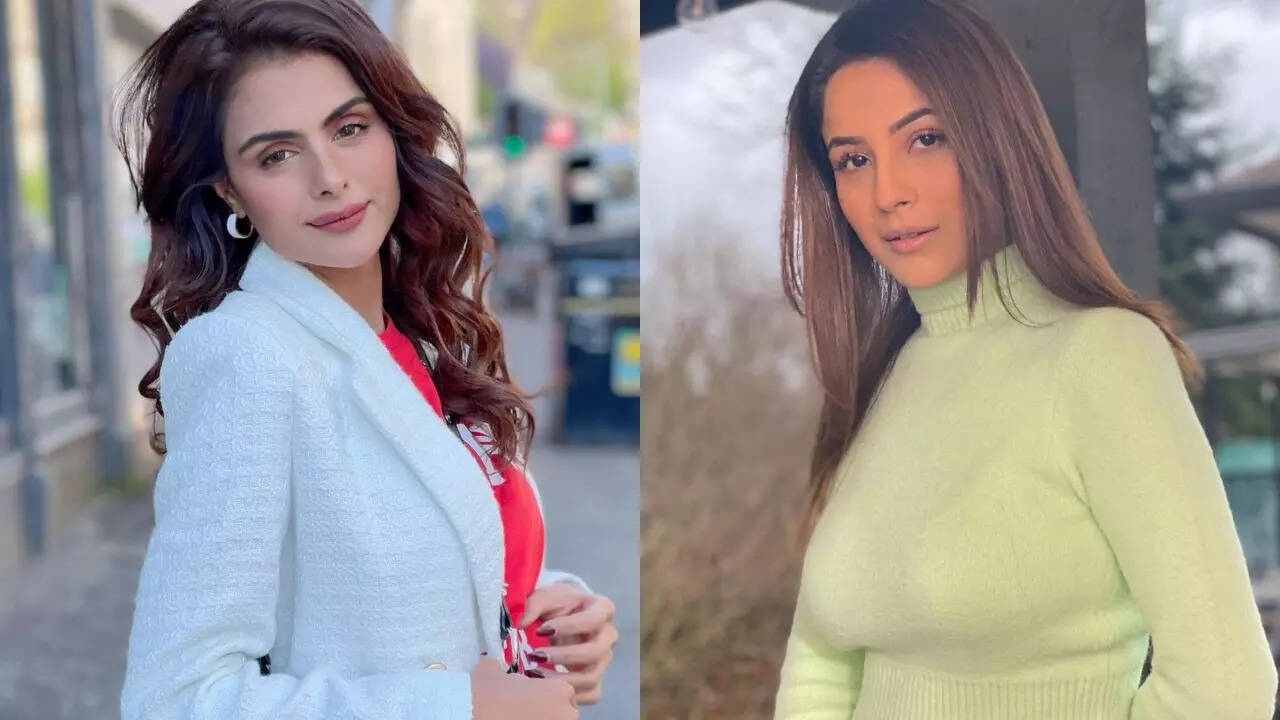 Bigg Boss 16's Priyanka Choudhary poses with Shehnaaz Gill in viral