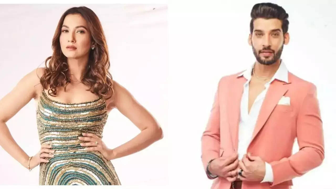 Gauahar Khan comes out in support of Gautam Vig