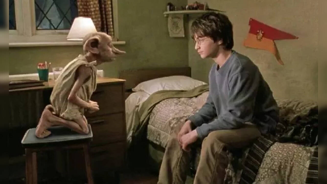 For every Potterhead, Harry Potter and Dobby's relationship was more than that of a wizard and elf