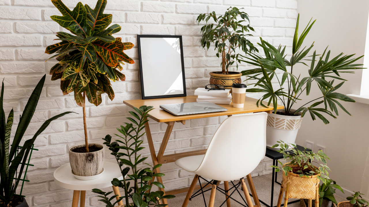 Invest in these 5 air purifying plants to make your abode a clean place to live in!