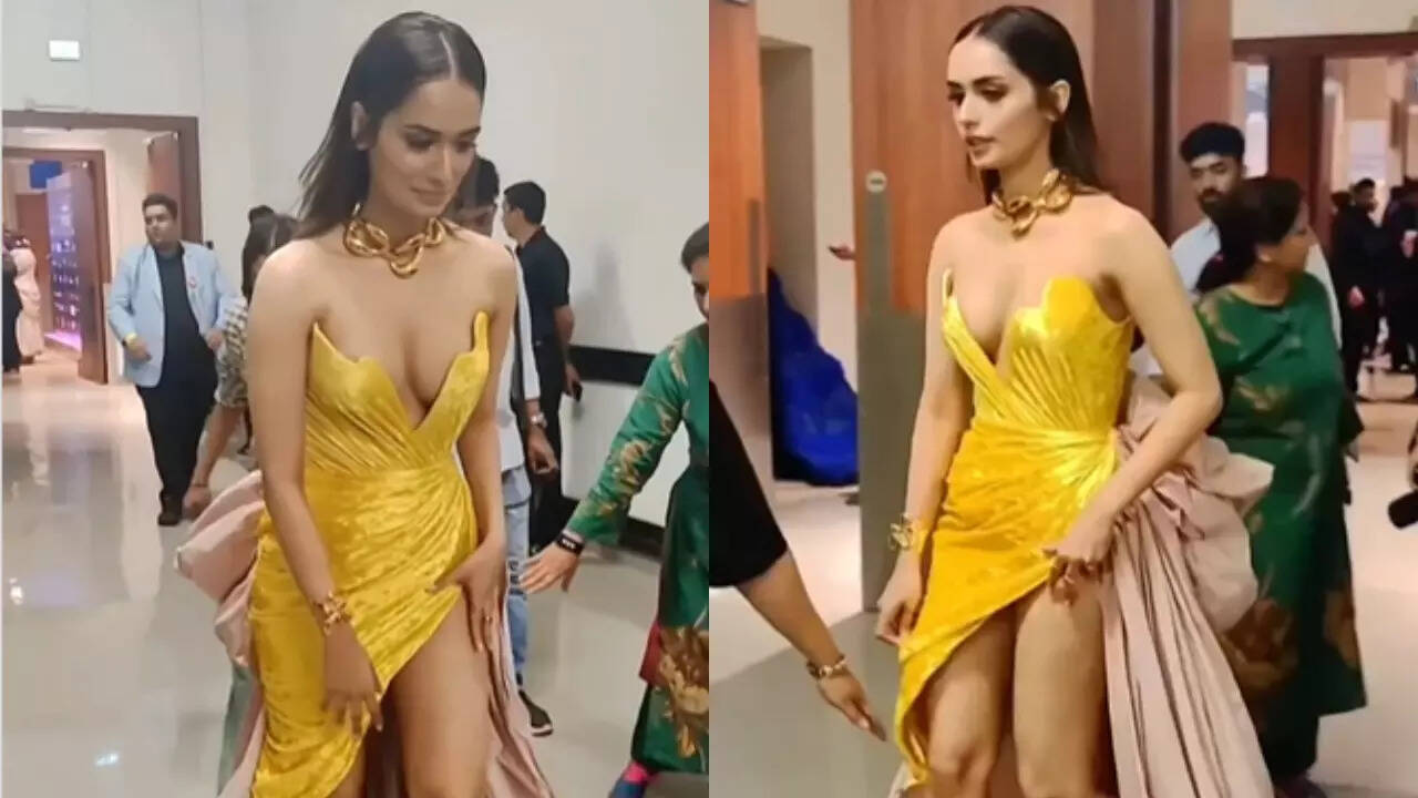 Manushi Chhillar gets trolled