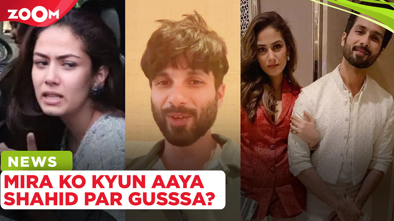 'STOP this now' Mira Rajput's ANGRY outburst at Shahid Kapoor goes ...