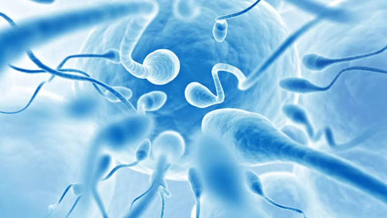 Sperm freezing can help men with prostate cancer embrace fatherhood