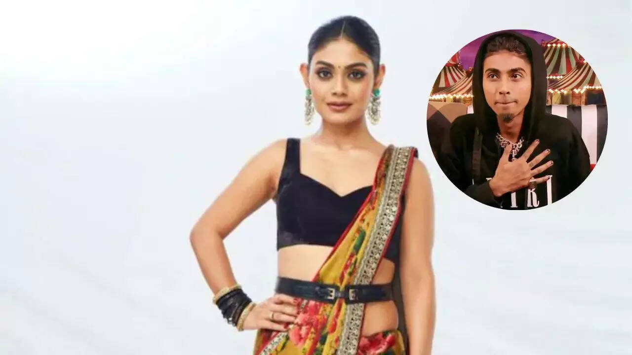 Sreejita De calls out MC Stan