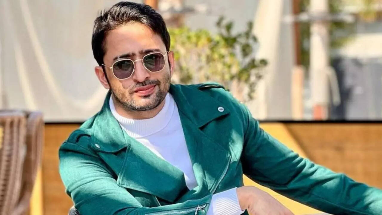 Shaheer Sheikh opens up on getting fit again