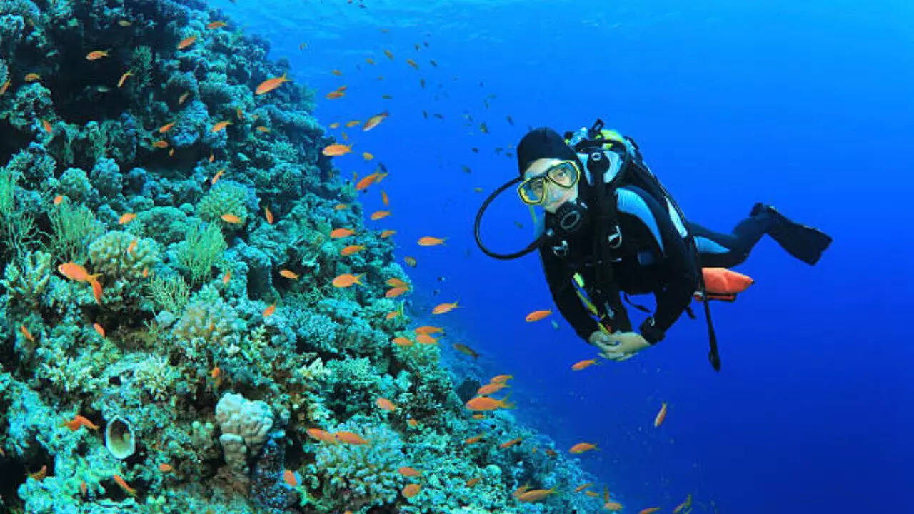 Scuba diving in India