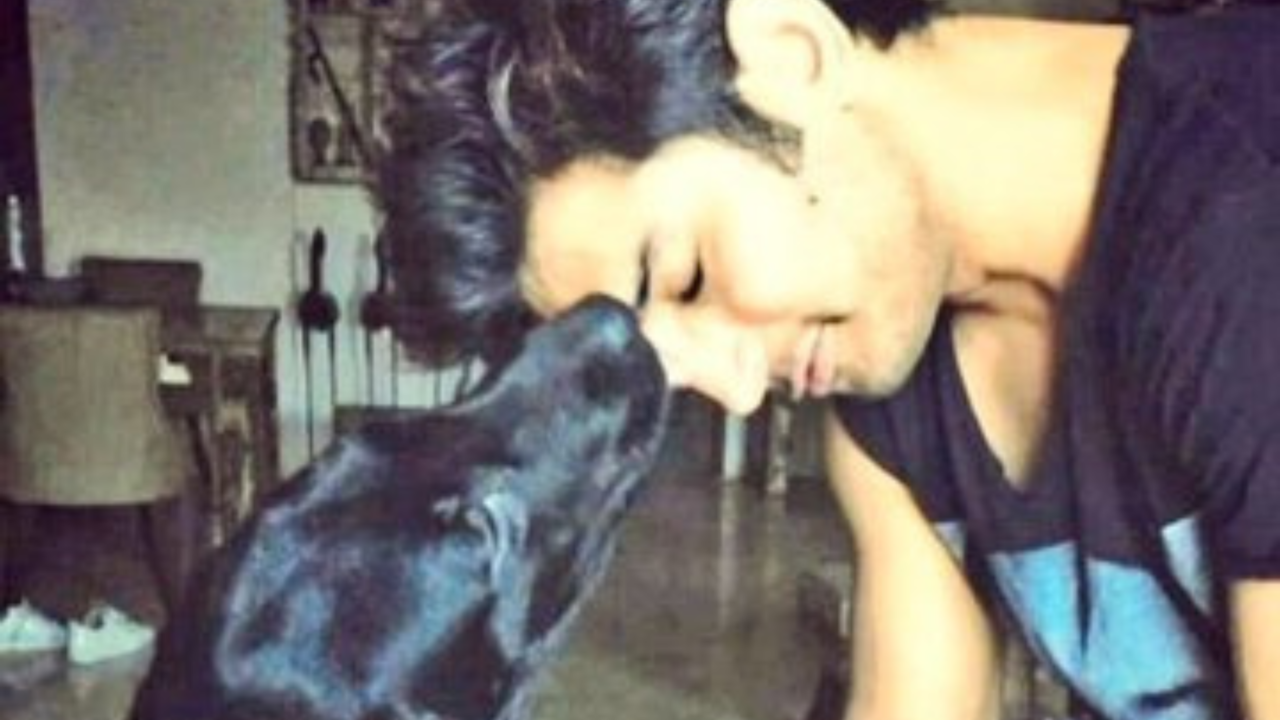 Sushant Singh Rajput's dog Fudge dies, old video of late actor with his beloved pet goes viral - WATCH