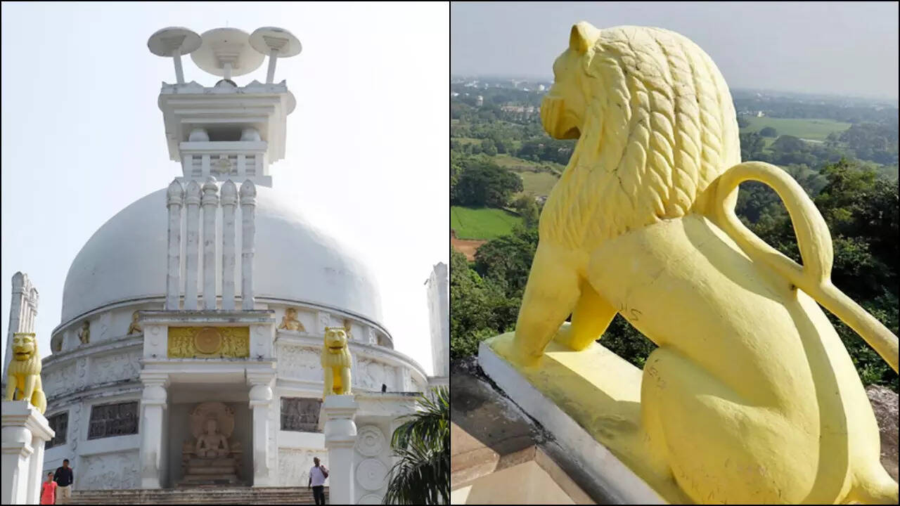 Dhauli Shanti Stupa