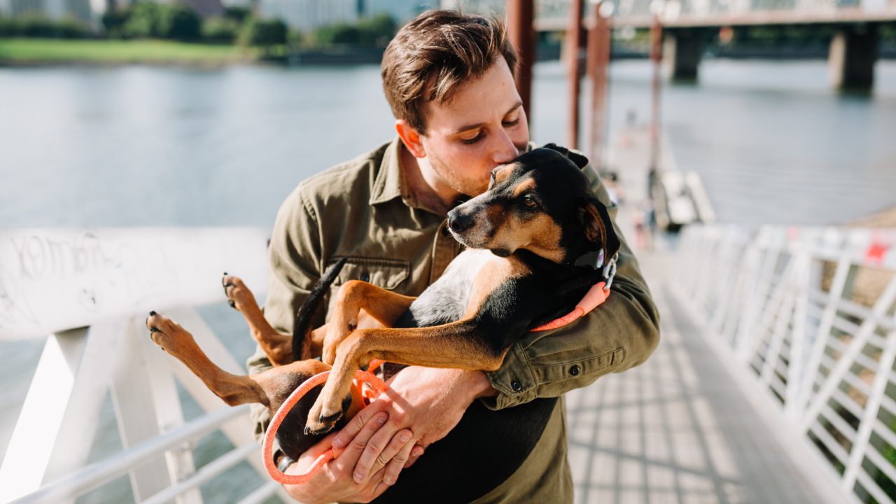 Valentine's Day: Cool activities to spend the season of love with your pets