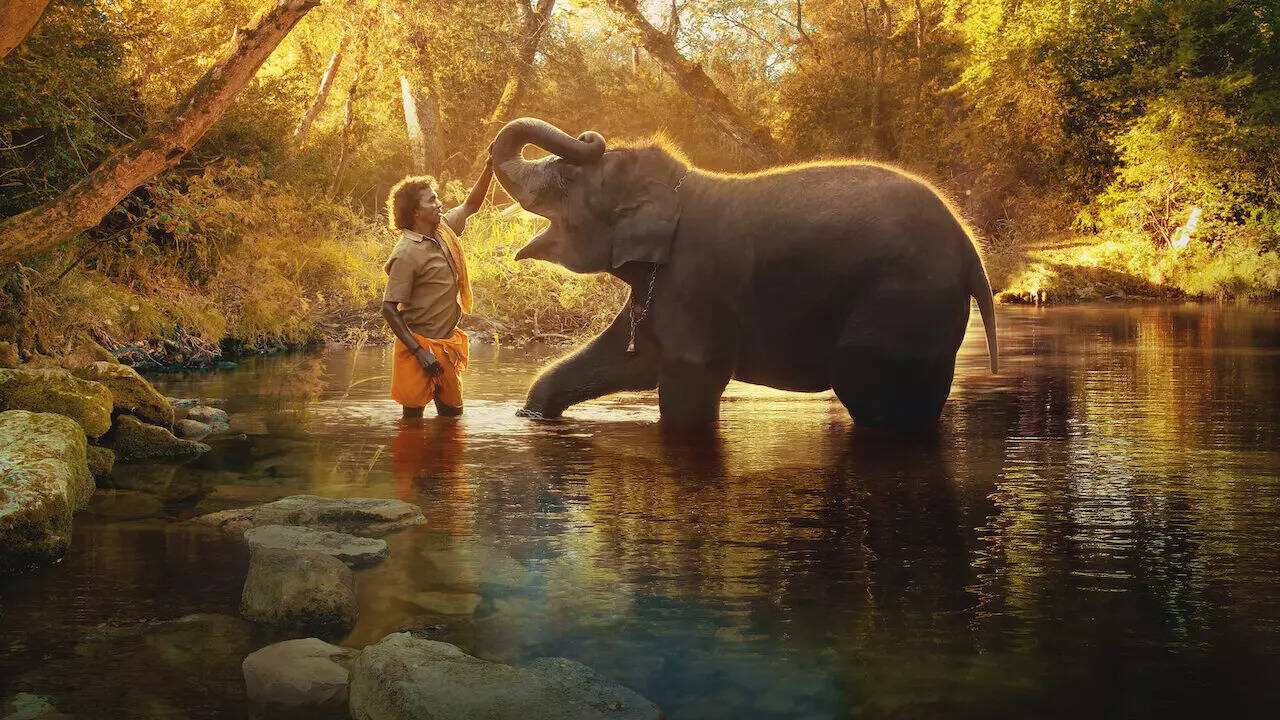 The Elephant Whisperers wins at Oscars 2023