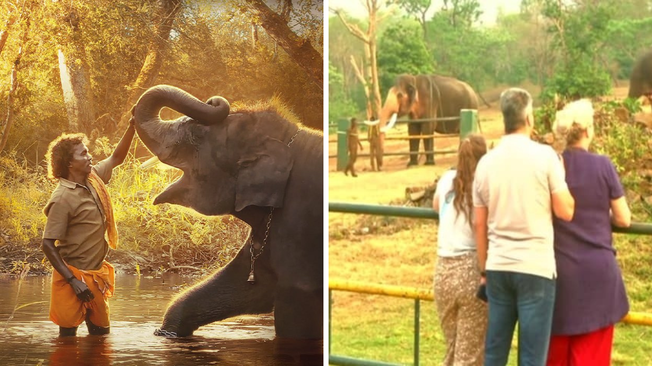 Tourists visit Theppakadu Elephant Camp