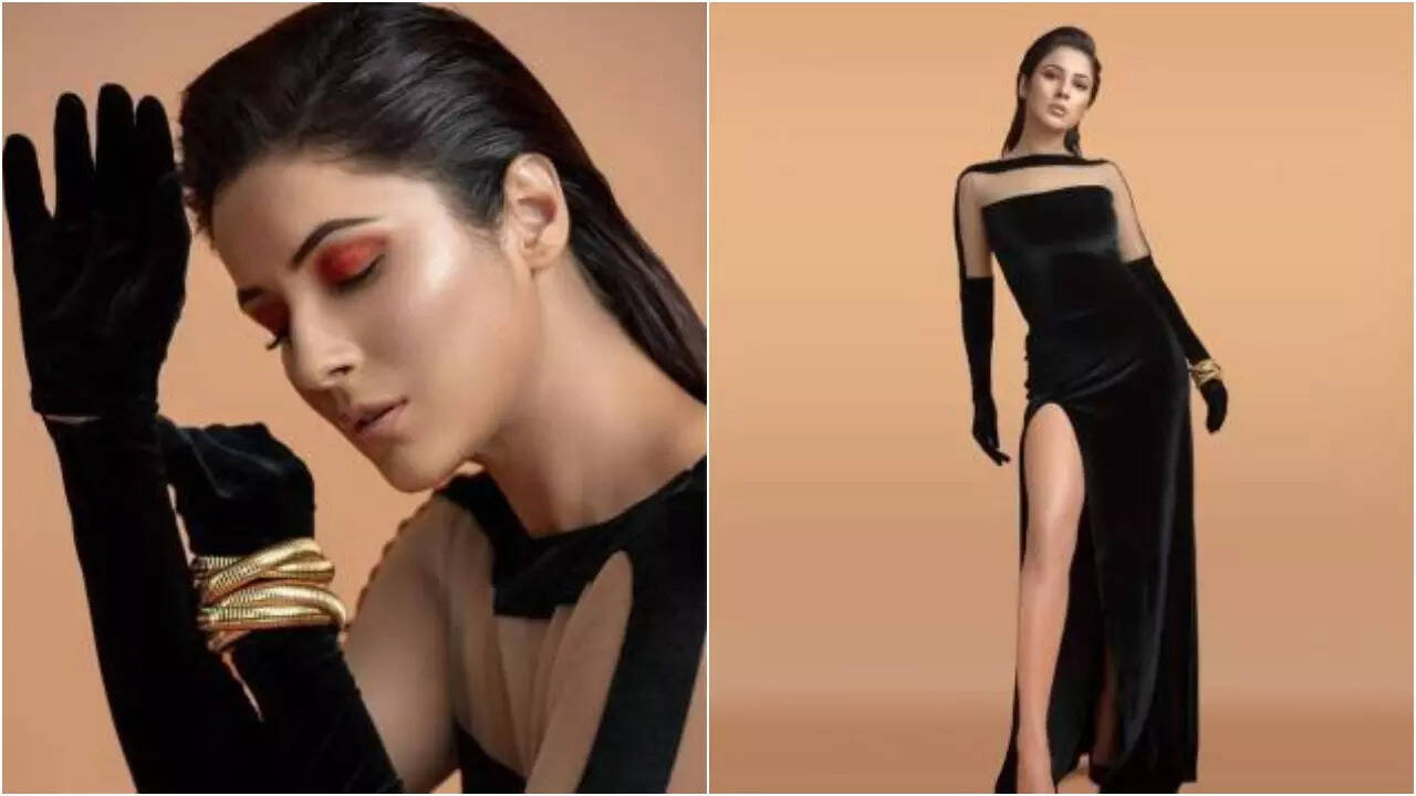 Shehnaaz Gill in latest photoshoot